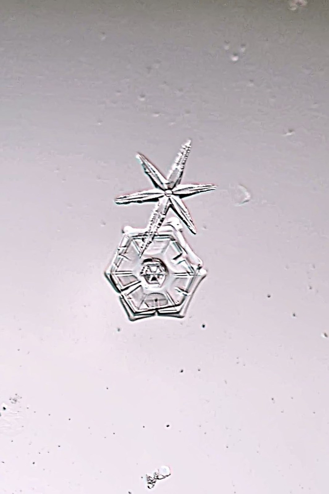 Simple Star and Stellar Plate Snowflakes